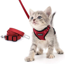 Load image into Gallery viewer, Playful Meow - Escape Proof Vest Harness for Kittens- Review
