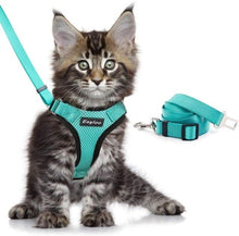Load image into Gallery viewer, Playful Meow - Escape Proof Vest Harness for Kittens- Review
