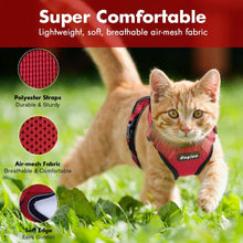 Load image into Gallery viewer, Playful Meow - Escape Proof Vest Harness for Kittens- Review

