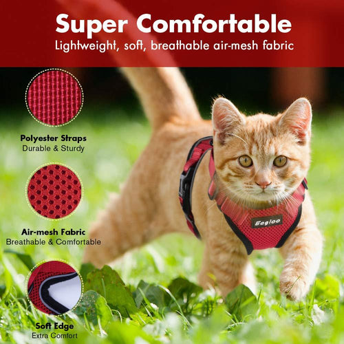 Playful Meow - Escape Proof Vest Harness for Kittens- Review