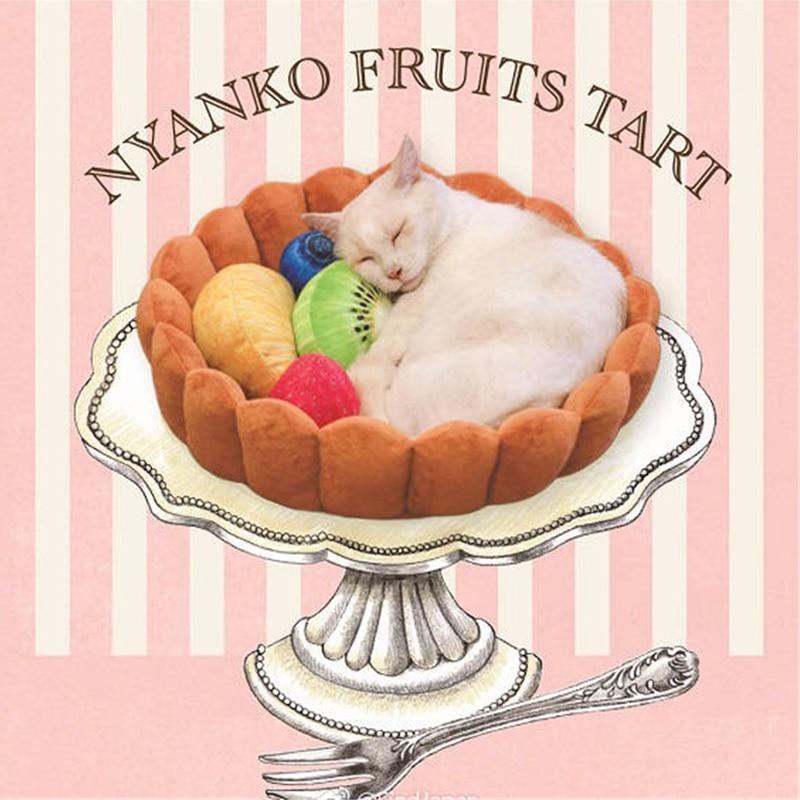 Playful Meow - Fruit Tart Cat Bed- Review