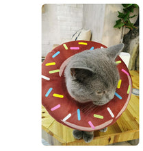 Load image into Gallery viewer, Playful Meow - Funny Donut Cat Recovery Cone- Review
