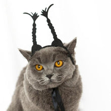 Load image into Gallery viewer, Funny Halloween Headwears for Pets
