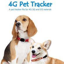 Load image into Gallery viewer, Playful Meow - Health and Location Pet Tracker [ Real Time ]- Review
