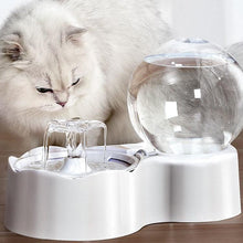 Load image into Gallery viewer, High-Tech Water Fountain [With Smart Sensor]
