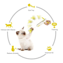 Load image into Gallery viewer, Playful Meow - Interactive Bouncing Teaser- Review

