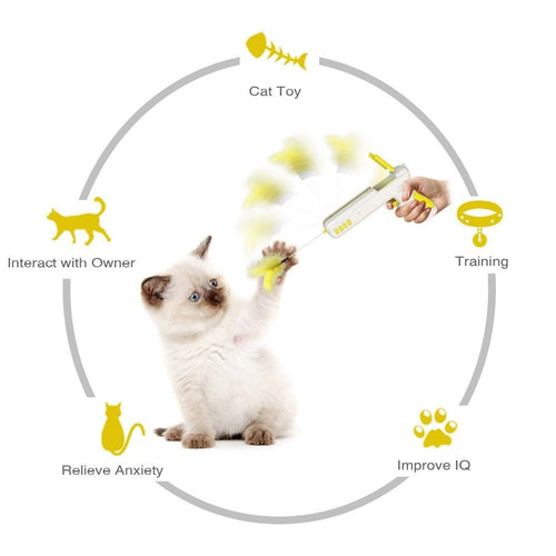 Playful Meow - Interactive Bouncing Teaser- Review
