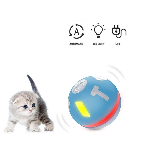 Playful Meow - Interactive Cat Ball Toy- Review