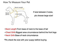 Load image into Gallery viewer, Playful Meow - Lovely Bowknot Cat Harness Vest with Leash- Review
