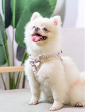 Load image into Gallery viewer, Playful Meow - Lovely Bowknot Cat Harness Vest with Leash- Review
