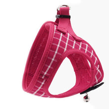 Load image into Gallery viewer, Playful Meow - Lovely Bowknot Cat Harness Vest with Leash- Review
