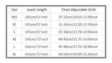 Load image into Gallery viewer, Playful Meow - Lovely Bowknot Cat Harness Vest with Leash- Review
