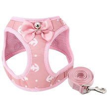 Load image into Gallery viewer, Playful Meow - Lovely Bowknot Cat Harness Vest with Leash- Review
