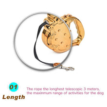 Load image into Gallery viewer, Playful Meow - Luxurious Gold/ Silver Retractable Leash- Review
