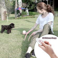 Load image into Gallery viewer, Playful Meow - Magic Cat Teaser Ball- Review
