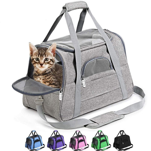 Playful Meow - 