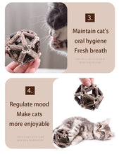 Load image into Gallery viewer, Playful Meow - Natural Catnip Cage Ball- Review
