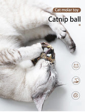 Load image into Gallery viewer, Playful Meow - Natural Catnip Cage Ball- Review
