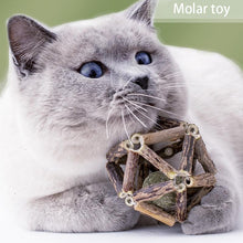 Load image into Gallery viewer, Playful Meow - Natural Catnip Cage Ball- Review
