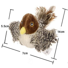 Load image into Gallery viewer, Playful Meow - Natural Feather Training Toy- Review
