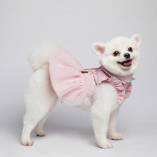 Load image into Gallery viewer, Playful Meow - Pet Tutu Bridesmaid Dress- Review
