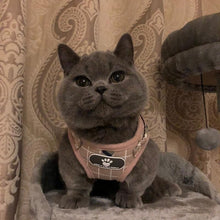 Load image into Gallery viewer, Playful Meow - Plaid Reflective Harness &amp; Leash- Review
