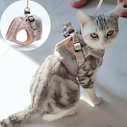 Playful Meow - Plaid Reflective Harness & Leash- Review