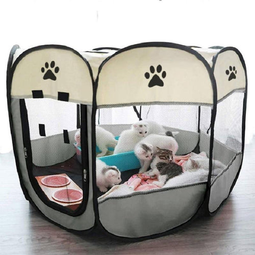 Playful Meow - Portable Cat's Play Tent- Review