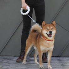 Load image into Gallery viewer, Playful Meow - Retractable Ring Shape Leash- Review
