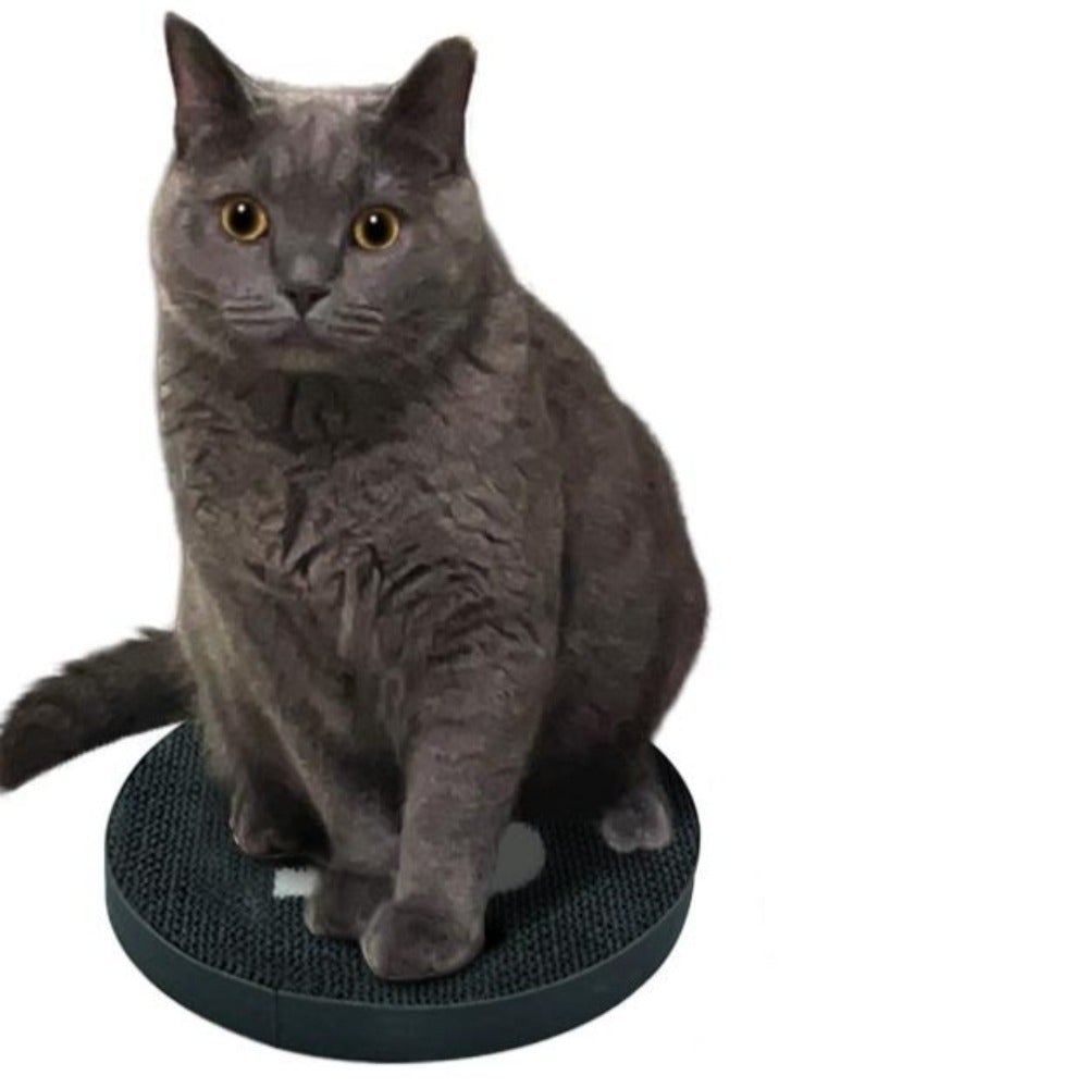 Round Cat-lethic Scratching Board
