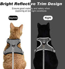 Load image into Gallery viewer, Playful Meow - Saddle Type Reflective Harness &amp; Leash- Review
