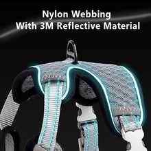 Load image into Gallery viewer, Playful Meow - Saddle Type Reflective Harness &amp; Leash- Review
