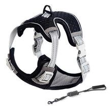 Load image into Gallery viewer, Playful Meow - Saddle Type Reflective Harness &amp; Leash- Review
