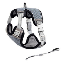 Load image into Gallery viewer, Playful Meow - Saddle Type Reflective Harness &amp; Leash- Review
