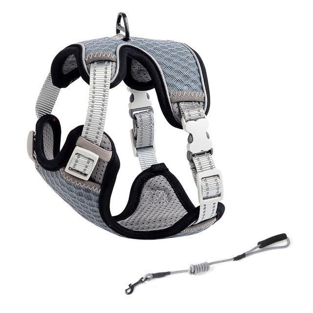 Playful Meow - Saddle Type Reflective Harness & Leash- Review