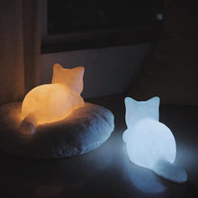 Load image into Gallery viewer, Playful Meow - Sleeping Kitty Night Light- Review
