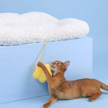 Load image into Gallery viewer, Soft Starry Cloud Cat Bed
