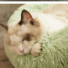 Load image into Gallery viewer, Playful Meow - Soufflé Anxiety Relief Cat Bed - 2021 UPGRADED WITH DETACHABLE COVER!- Review
