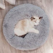 Load image into Gallery viewer, Playful Meow - Soufflé Anxiety Relief Cat Bed - 2021 UPGRADED WITH DETACHABLE COVER!- Review
