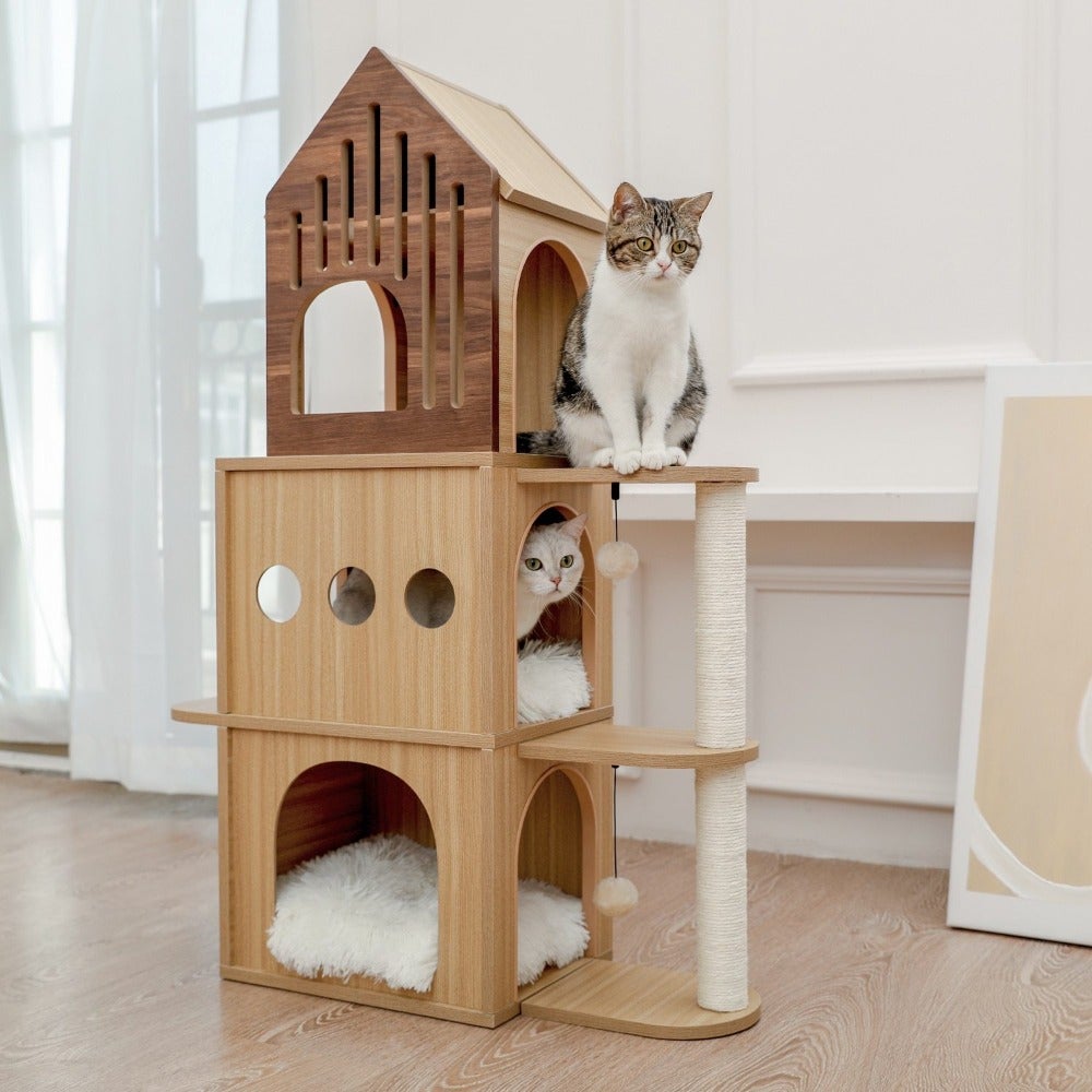 Space Dream Cat Condo