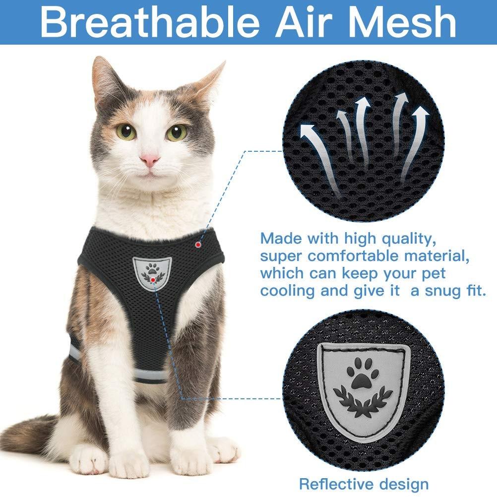 Playful Meow - "The Gulliver" Travelers Reflective Harness & Leash- Review