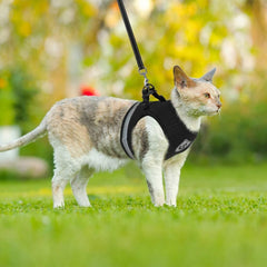 Playful Meow - "The Gulliver" Travelers Reflective Harness & Leash- Review