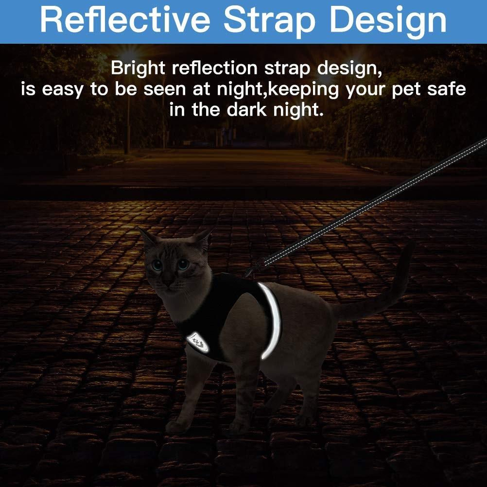 Playful Meow - "The Gulliver" Travelers Reflective Harness & Leash- Review