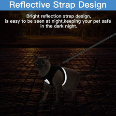Playful Meow - "The Gulliver" Travelers Reflective Harness & Leash- Review