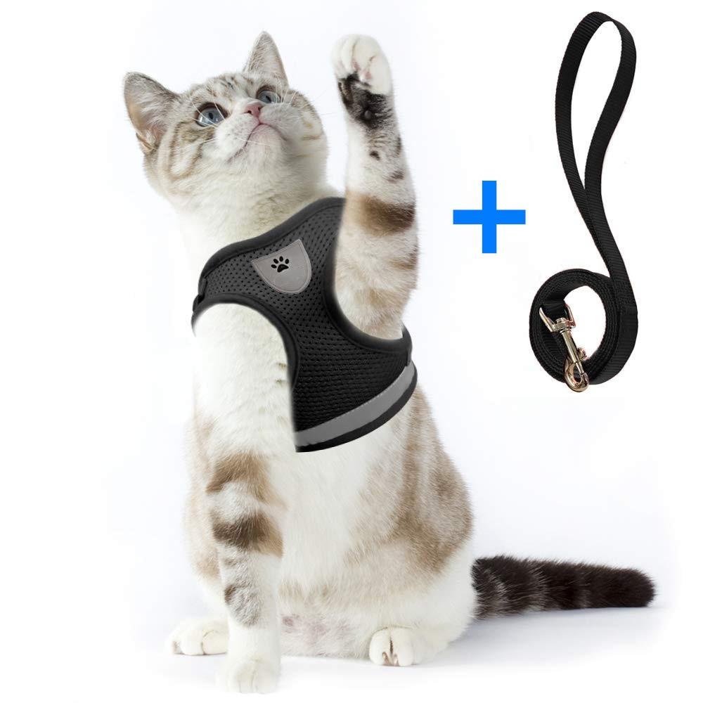 Playful Meow - "The Gulliver" Travelers Reflective Harness & Leash- Review