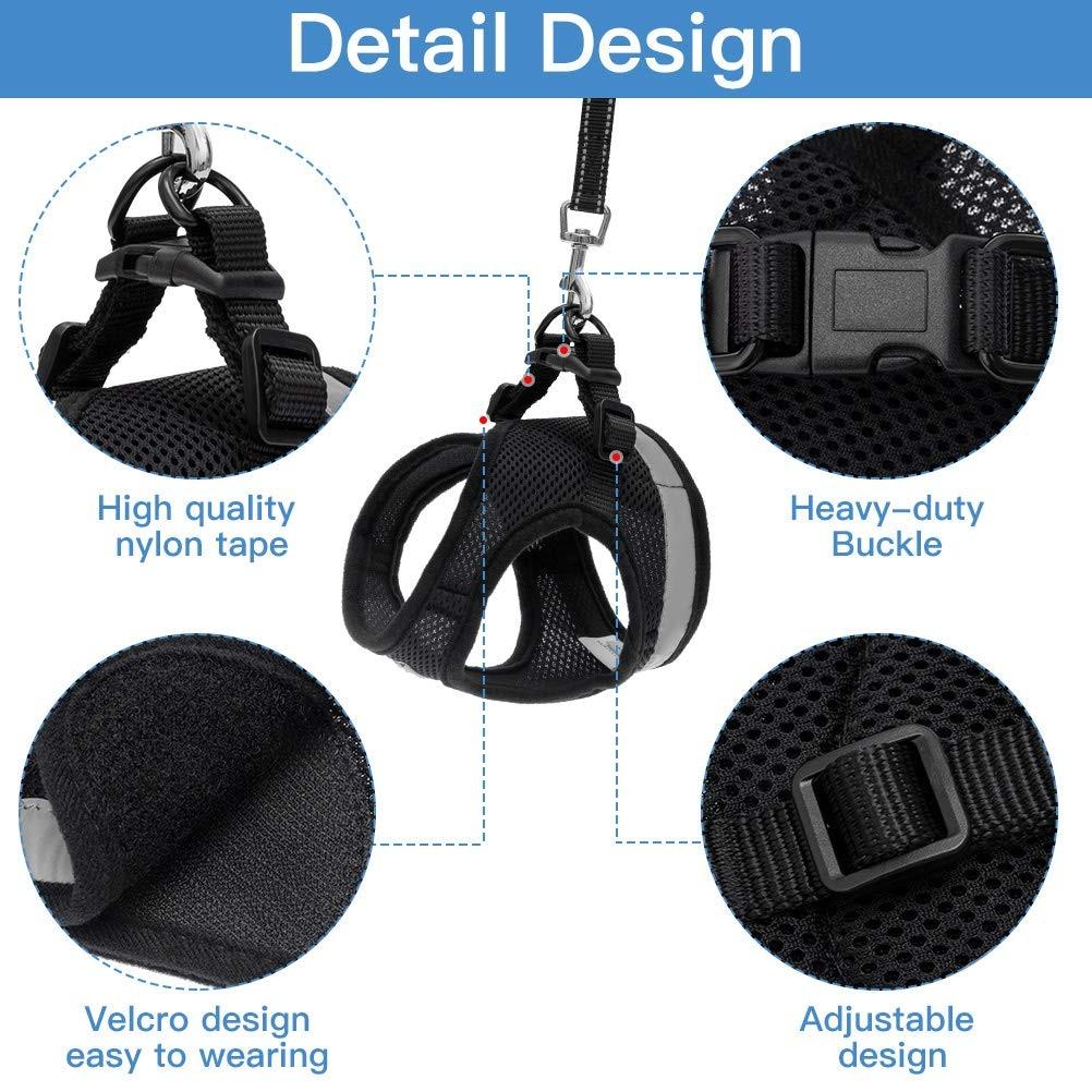 Playful Meow - "The Gulliver" Travelers Reflective Harness & Leash- Review