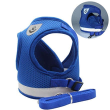 Load image into Gallery viewer, Playful Meow - &quot;The Gulliver&quot; Travelers Reflective Harness &amp; Leash- Review
