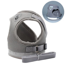 Load image into Gallery viewer, Playful Meow - &quot;The Gulliver&quot; Travelers Reflective Harness &amp; Leash- Review
