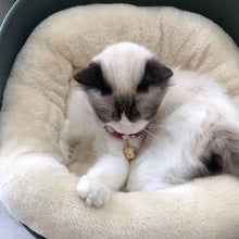 Load image into Gallery viewer, Warm and Cushy Cat Beds
