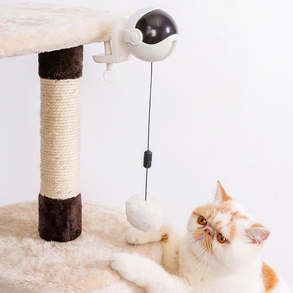 Playful Meow - Yo-yo Ball Automatic Teaser for Cats- Review